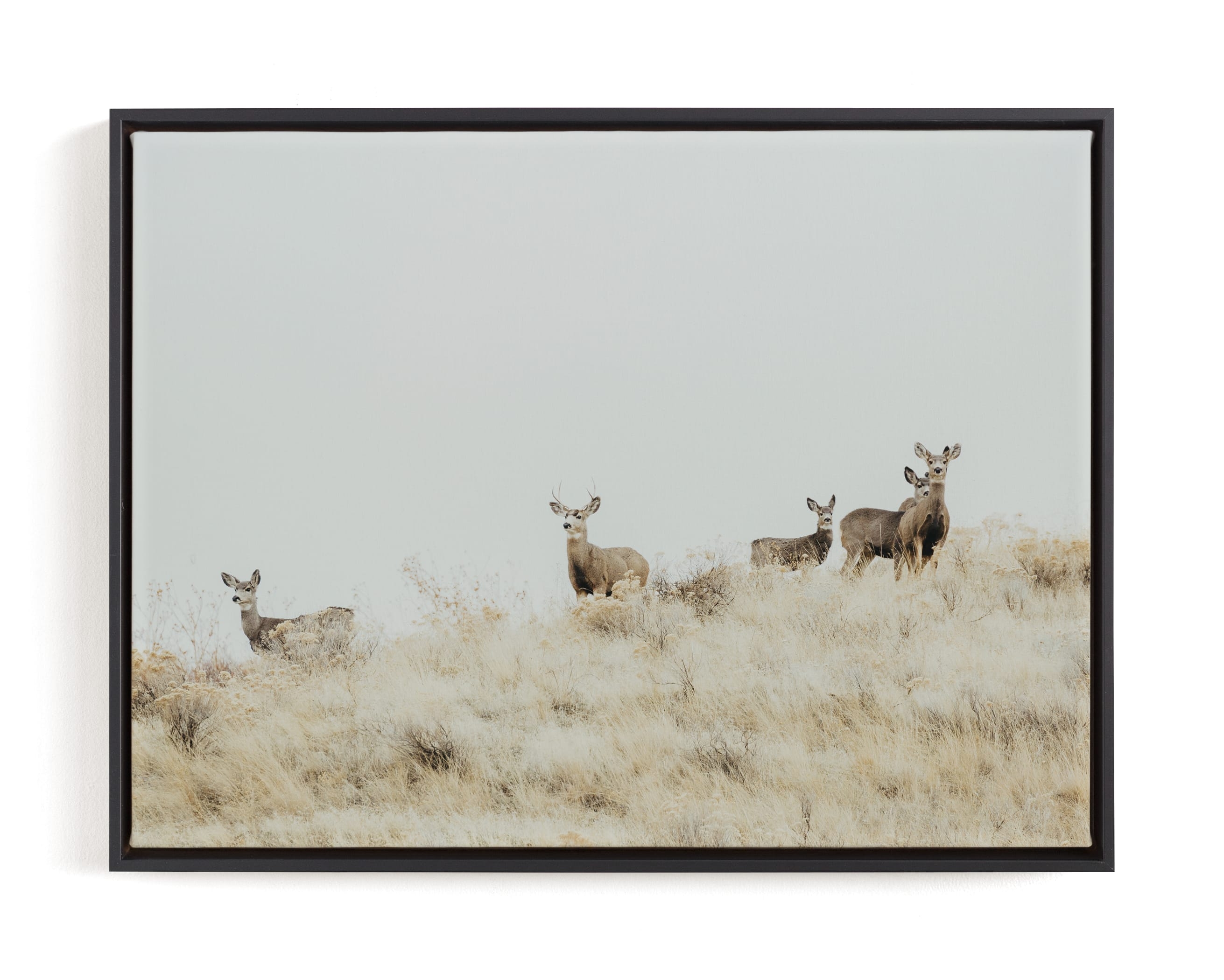 Watchful Limited Edition Fine Art Print 2 - Image 0