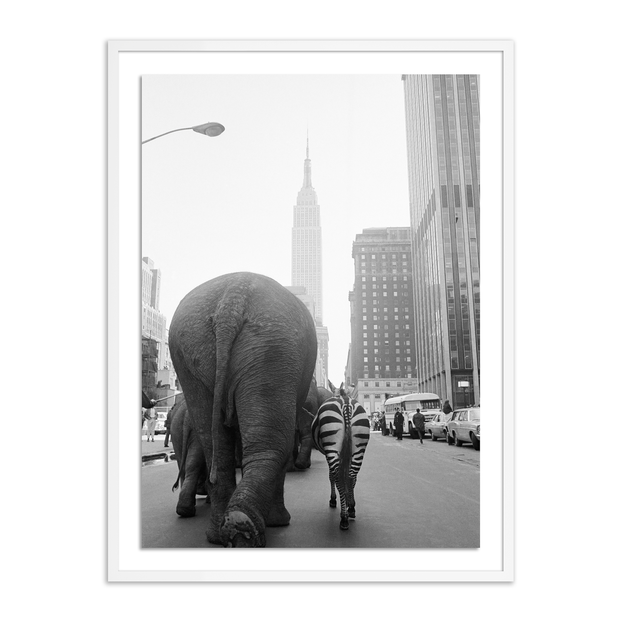 Circus Animals 33rd St By Getty Images - Image 0