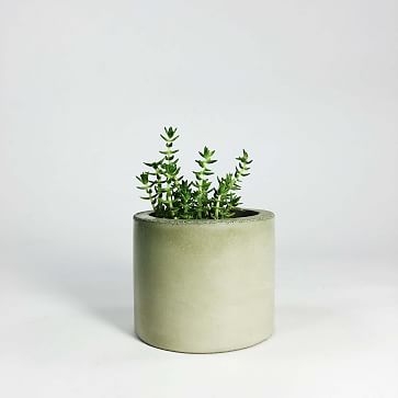 Settlewell Concrete Vase, Dark Gray - Image 3