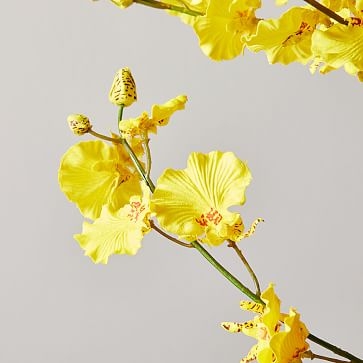 Faux Botanicals, Dancing-Lady Orchid - Image 1