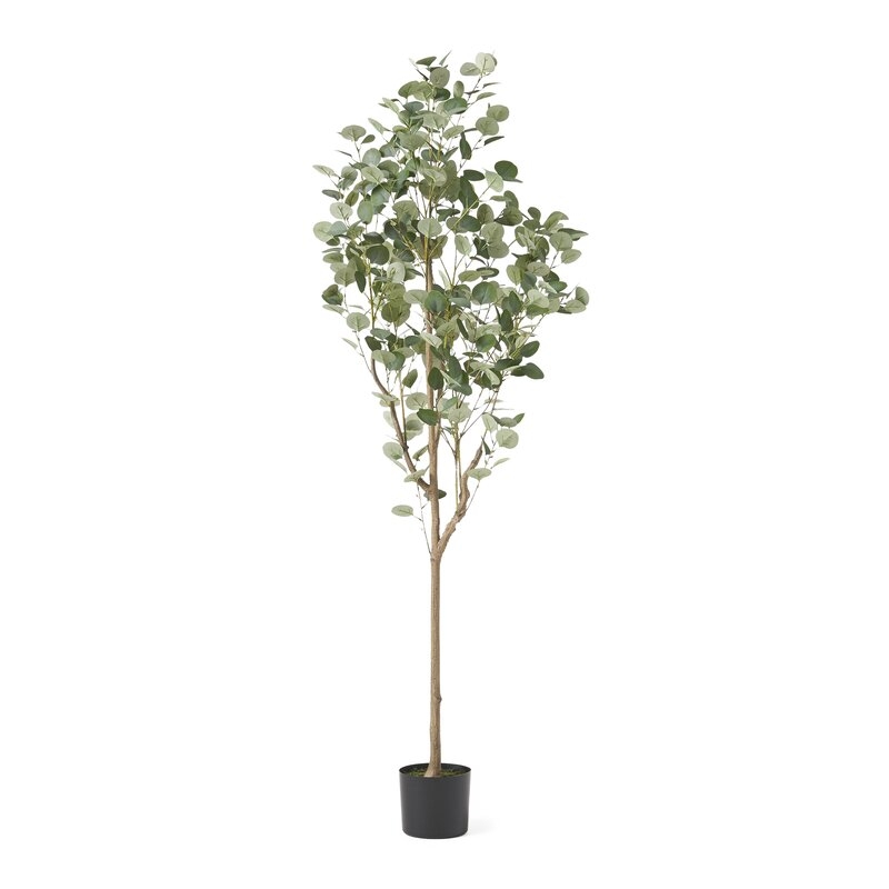 Aanya Artificial Eucalyptus Tree in Pot - Image 0