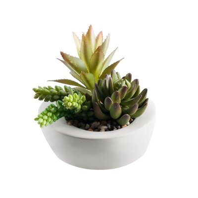 4.3'' Artificial Succulent in Pot - Image 0