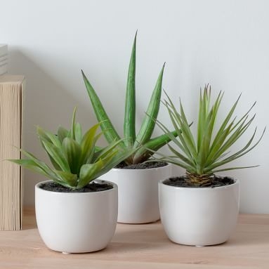 Faux Potted Southwest Plants, Set of 3 - Image 1