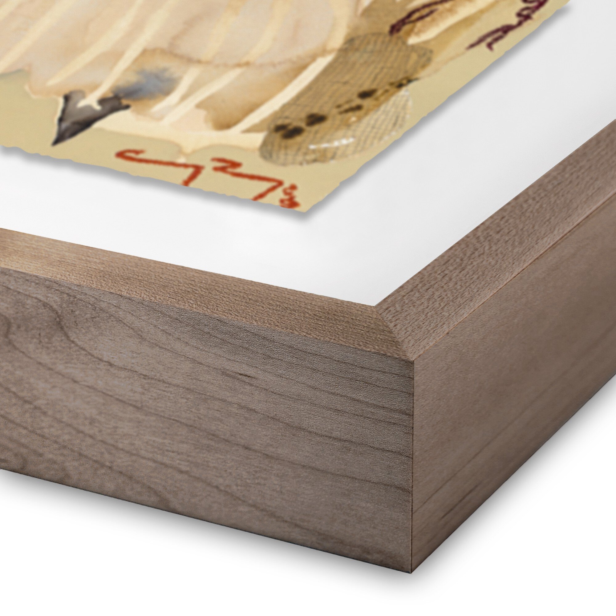 Sun King by Caroline Pinney - Rustic 2.5 Walnut - Image 1