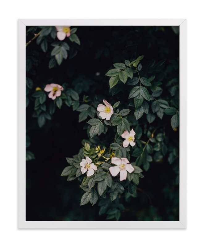 Moody White Roses Limited Edition Fine Art Print 1 - Image 0