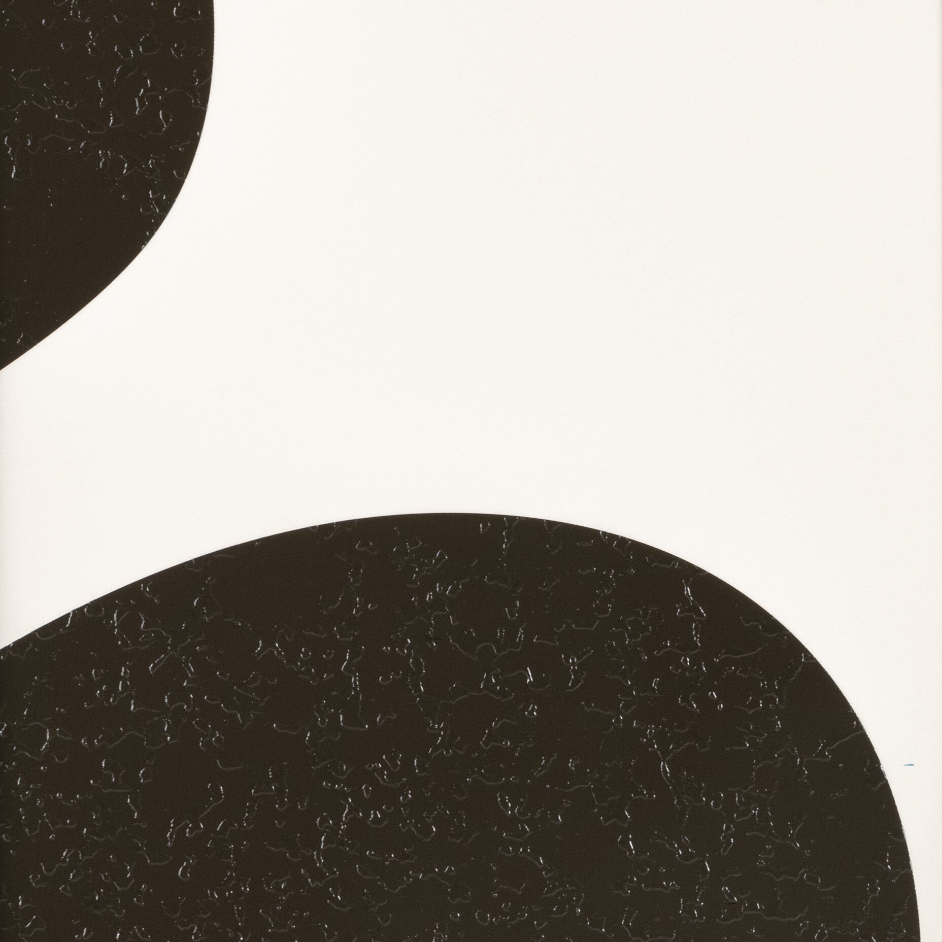 Organic Shape I Set by FH Art Studio - Black 2.5 Maple - Image 4