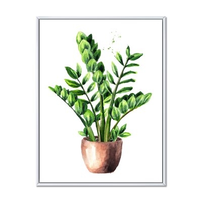 Zamioculcas Tropical Plant With Green Leaves - Traditional Canvas Wall Art Print FL35488 - Image 0