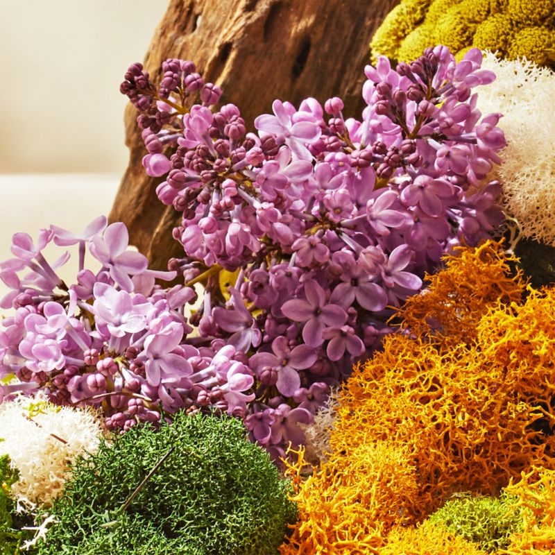 Apotheke White Vetiver Pura Refill, Set of 2 - Image 4