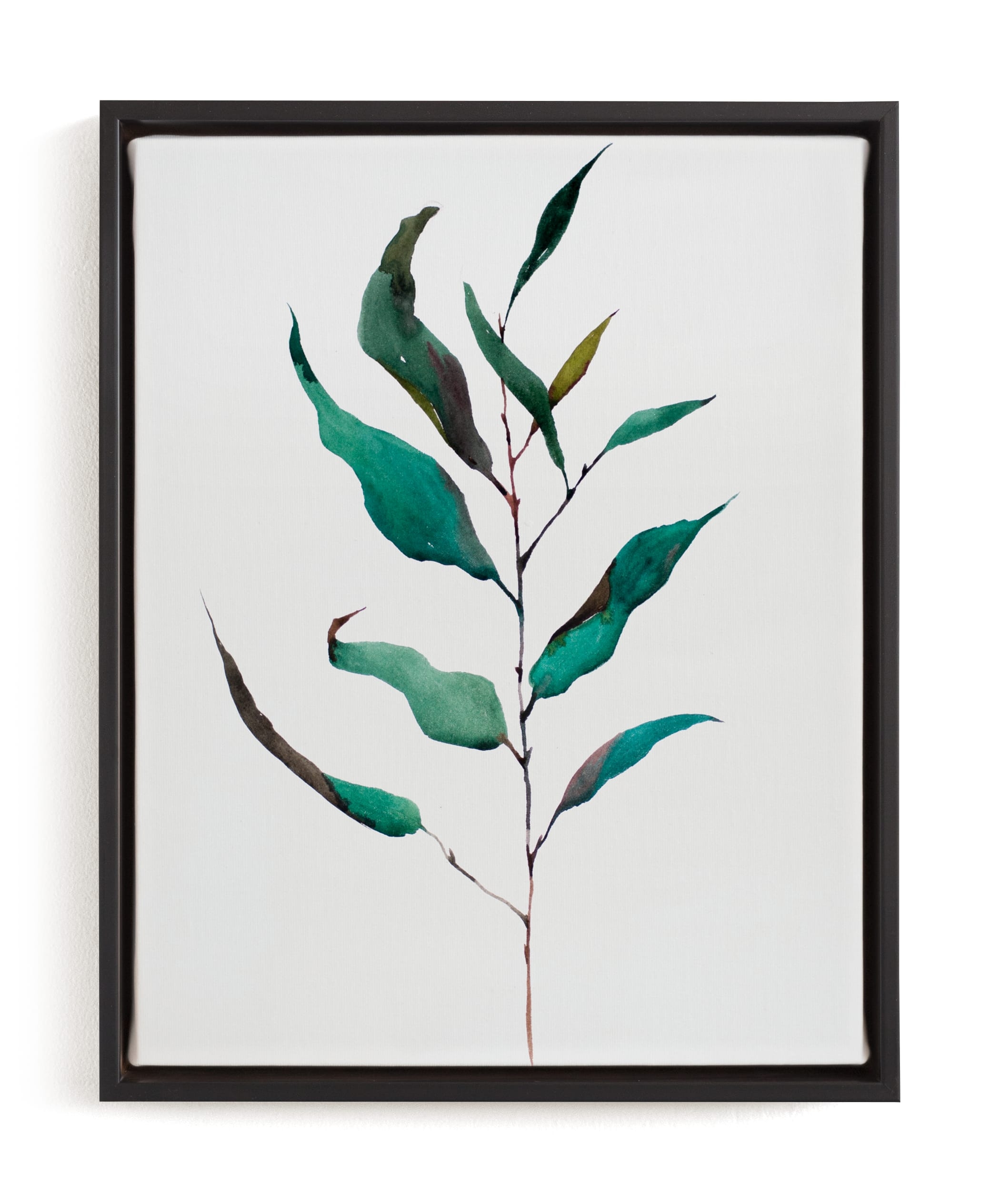 Eucalyptus Foliage Limited Edition Fine Art Print 1 - Image 0