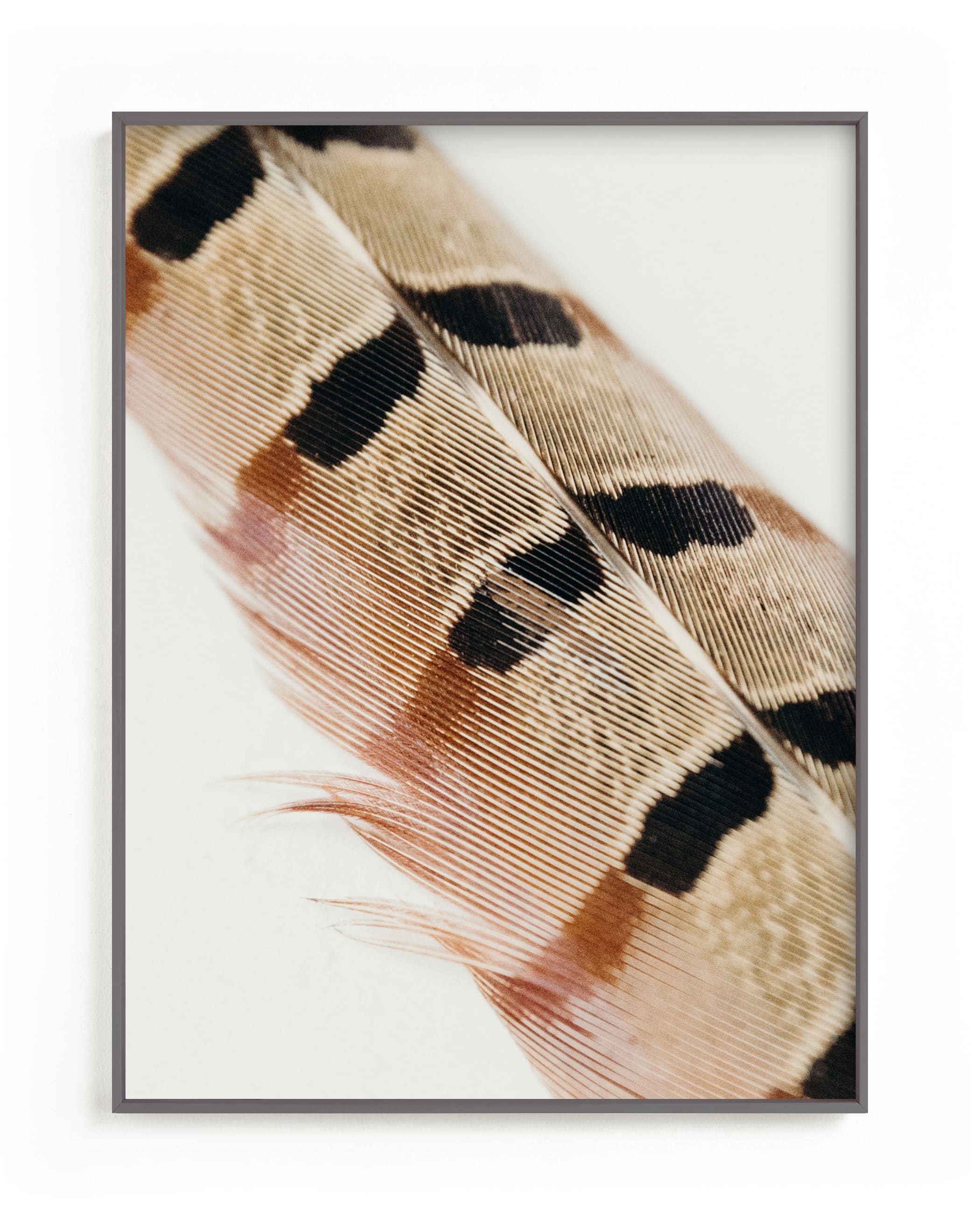 Feather Study I Limited Edition Fine Art Print 2 - Image 0
