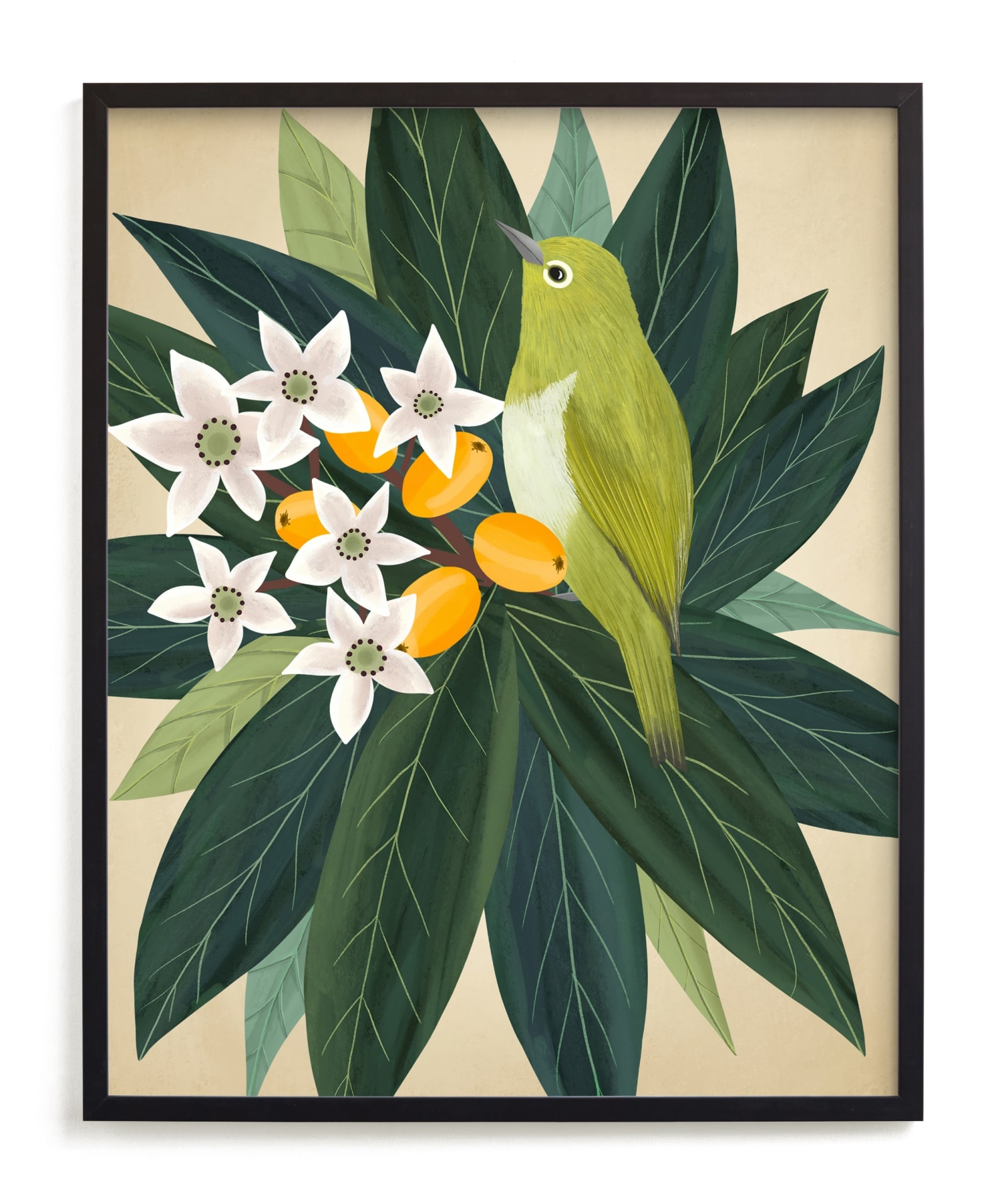 Loquat Limited Edition Fine Art Print 2 - Image 0