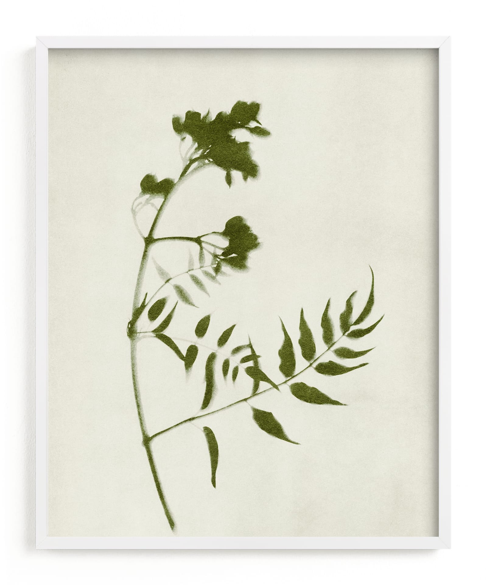 Foraged I Limited Edition Fine Art Print 2 - Image 0