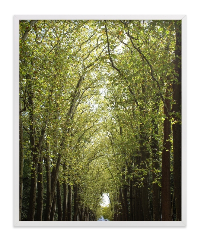 Canopy Of Trees Limited Edition Fine Art Print 1 - Image 0