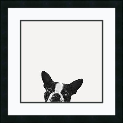 Framed Art Print 'Loyalty (Dog)' by Jon Bertelli: Outer Size 22 x 22" by Jon Bertelli - Picture Frame Photograph Print on Paper - Image 0