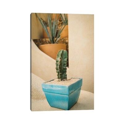 Cabo Cactus V by Bethany Young - Wrapped Canvas Photograph Print - Image 0