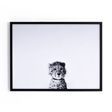 Cheetah Chillin', 24"x18" - Image 0