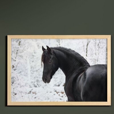 Ambesonne Animal Wall Art With Frame, Friesian Sport Horse Portrait On A Snowy Winter Background Novelty Picture Print, Printed Fabric Poster For Bathroom Living Room Dorms, 35" X 23", White - Image 0