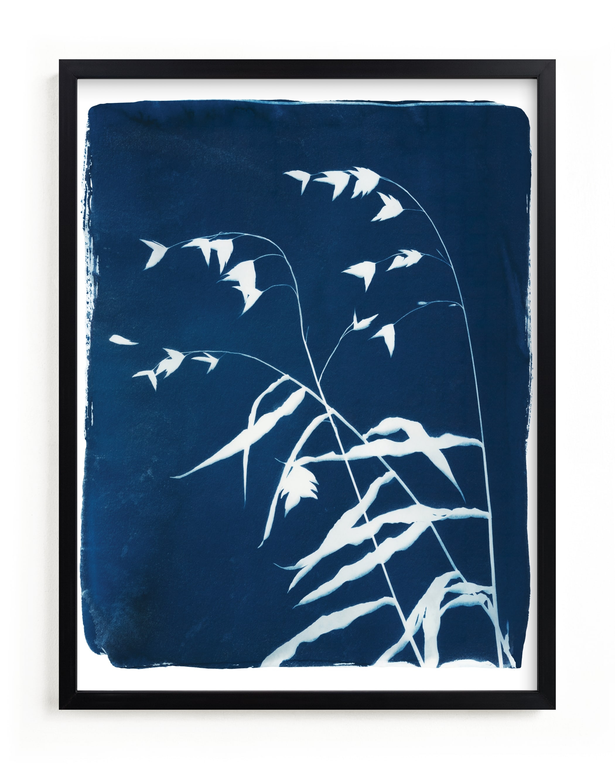 Sea Oats Cyanotype Limited Edition Fine Art Print 2 - Image 0
