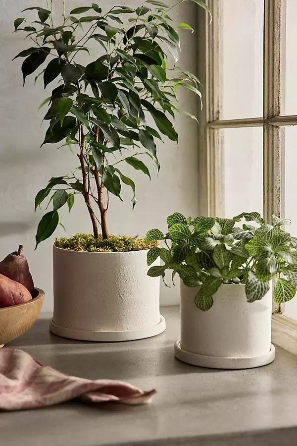Easton Ceramic Pot + Saucer Set - Image 0