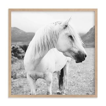 Field Horse, Natural Wood Frame, 24"x24" - Image 0