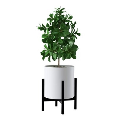 Square Modern Plant Stand - Image 0