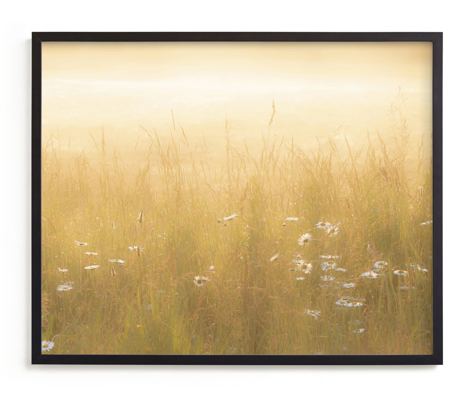 Golden Meadow Limited Edition Fine Art Print 2 - Image 0