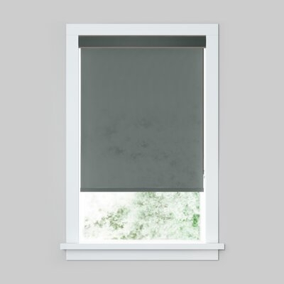 LEVOLOR Solar Screen 5% Sheer Roller Shade in Gray - Image 0