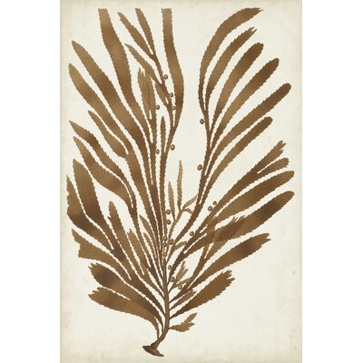 Sepia Seaweed II - Image 0