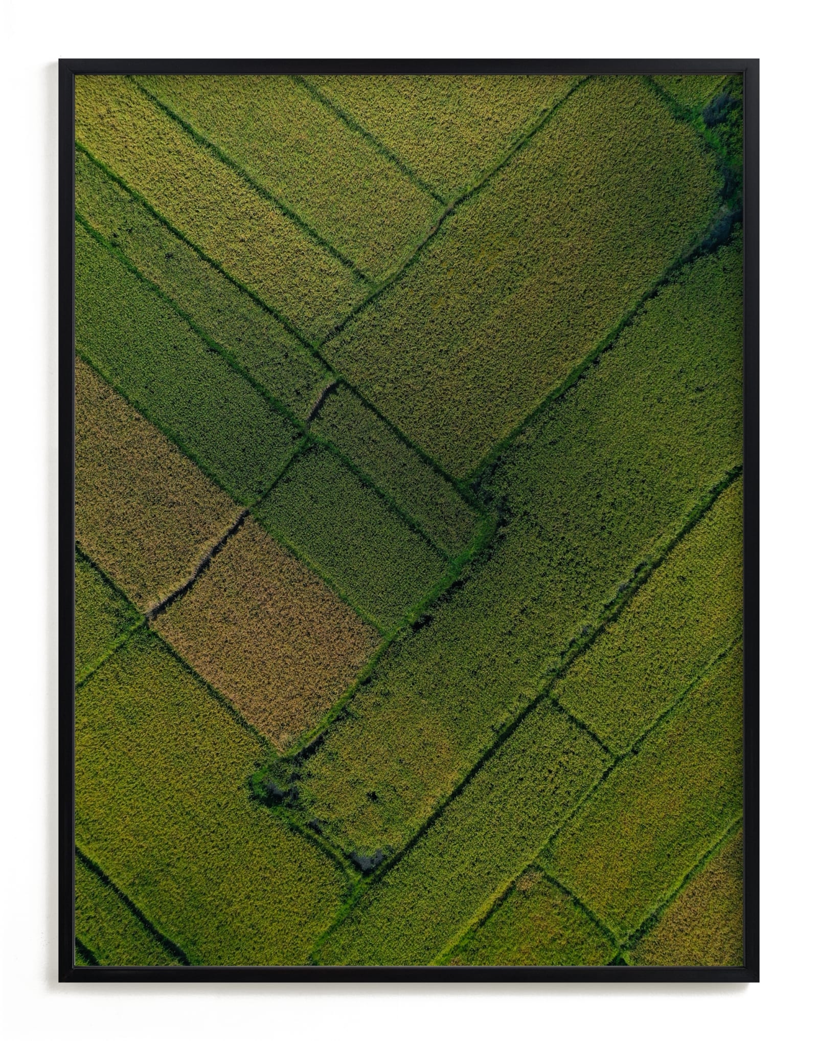 Above The Paddy Limited Edition Fine Art Print 2 - Image 0