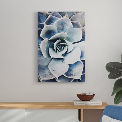 Pastel Succulent Beauty III by Irena Orlov Photograph Print on Canvas - Image 0