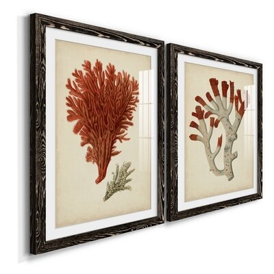 Antique Red Coral VPremium Framed Canvas - Ready To Hang - Image 0