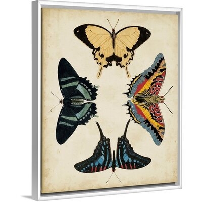Display of Butterflies III by Studio Vision - Painting Print on Canvas - Image 0