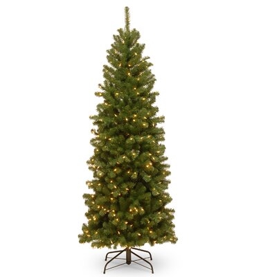 AllModern North Valley Spruce Tree