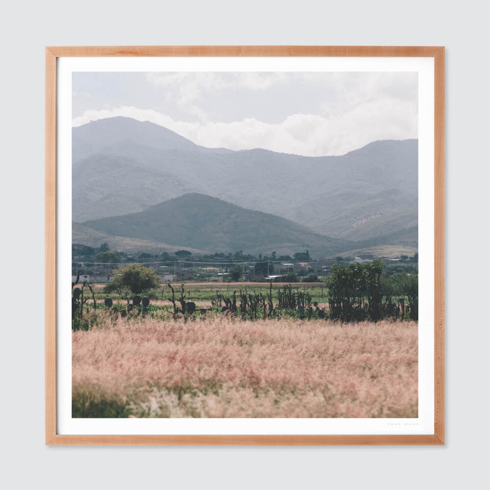 The Citizenry Oaxaca .02 Wall Art | 16" x 16" | White - Image 5