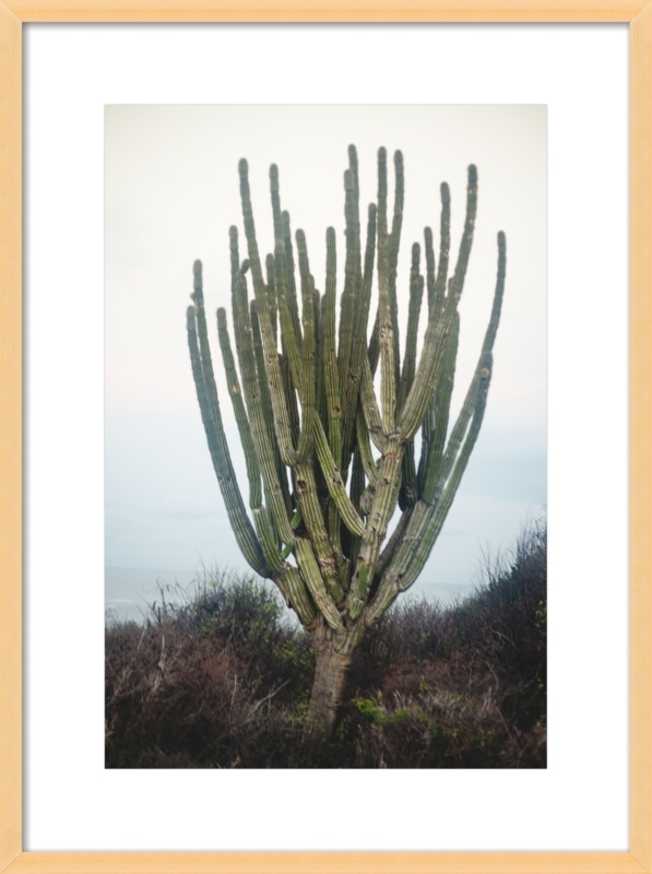 Cactus by Whitney Arostegui for Artfully Walls - Image 0