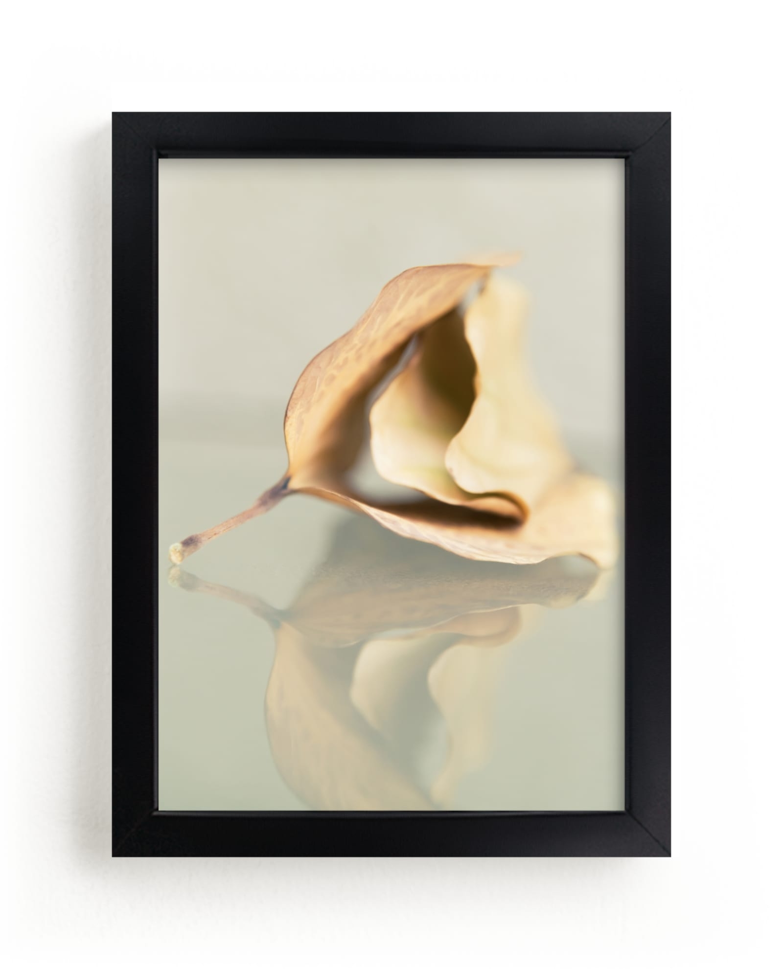 Harmony Limited Edition Fine Art Print 2 - Image 0