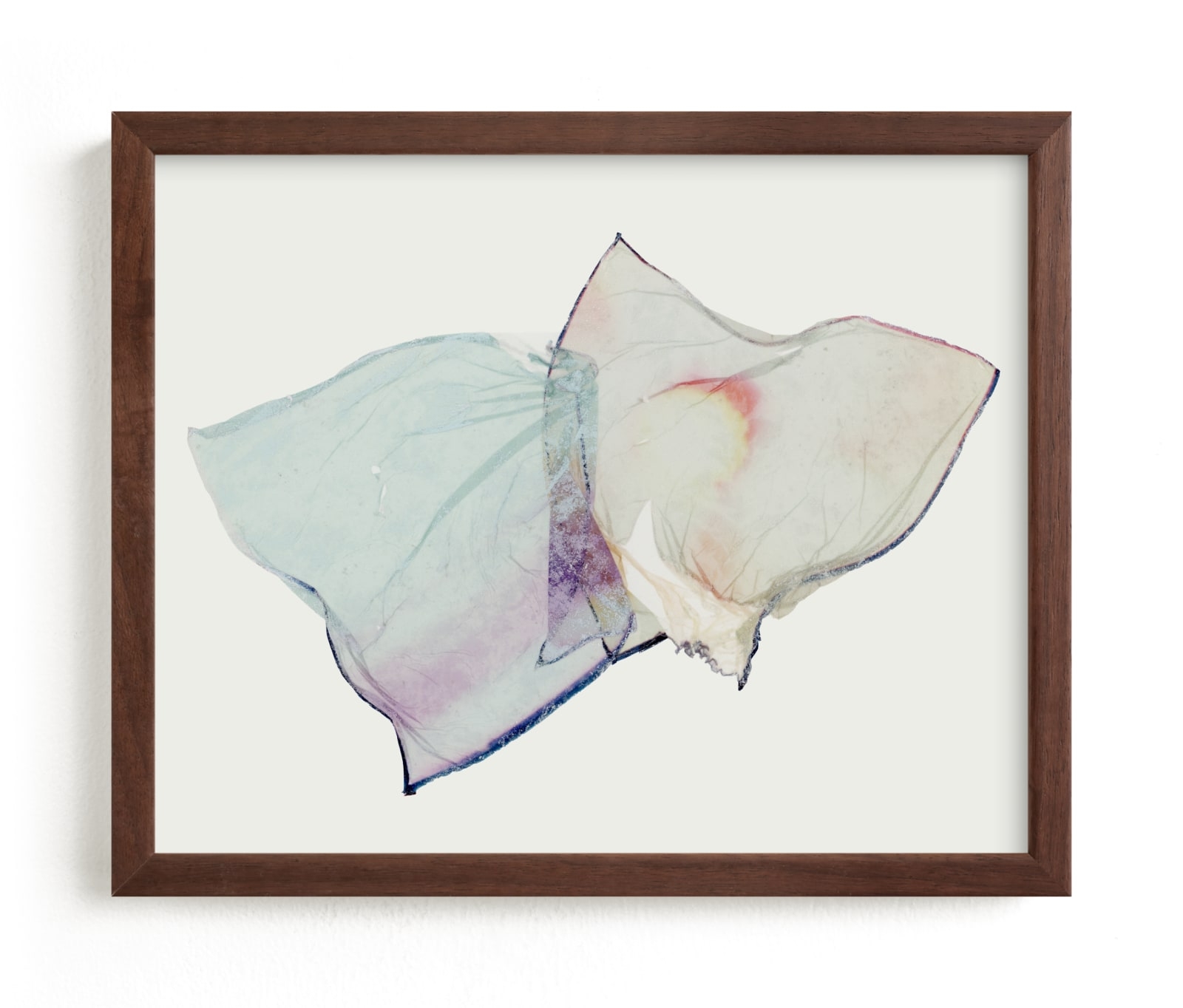 Snagged Limited Edition Fine Art Print 2 - Image 0