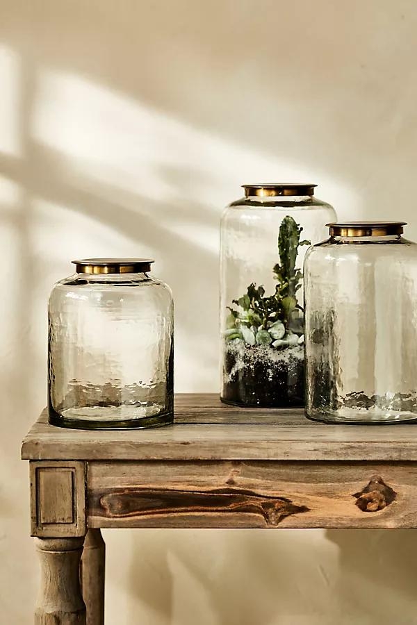 Hammered Glass Terrarium with Lid - Image 0