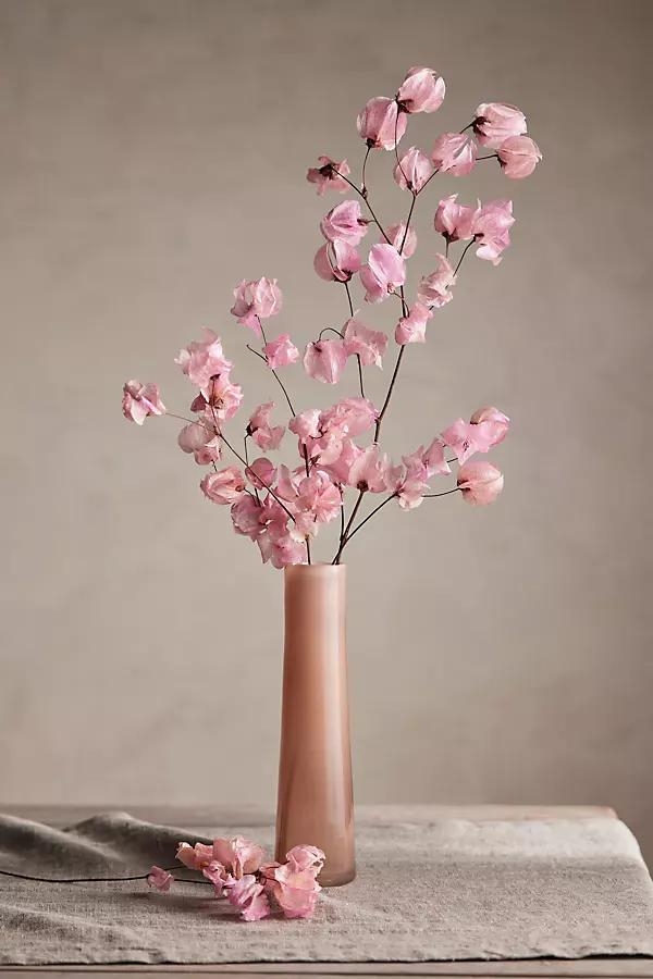 Preserved Bougainvillea Bunch, Pink - Image 0