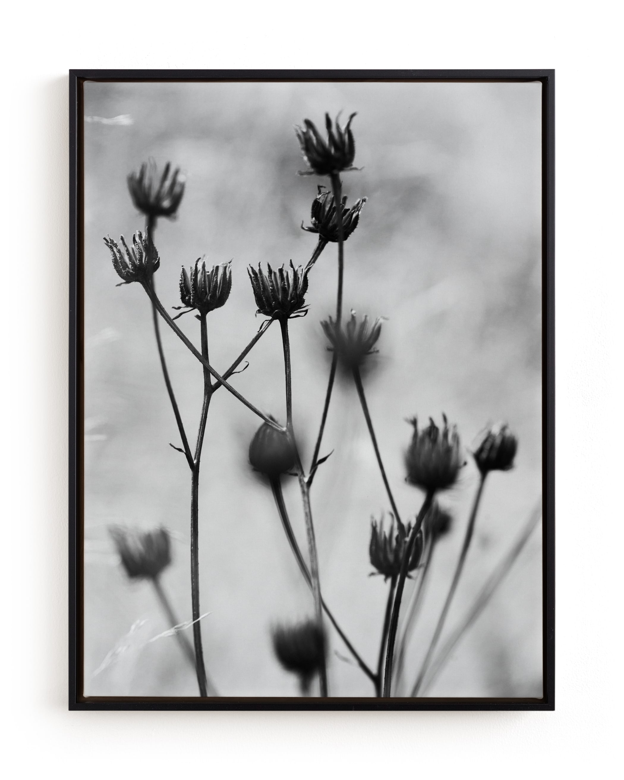Autumn Detail Limited Edition Fine Art Print 1 - Image 0