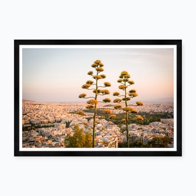 Agave Trees On Hills Of Athens I - Image 0