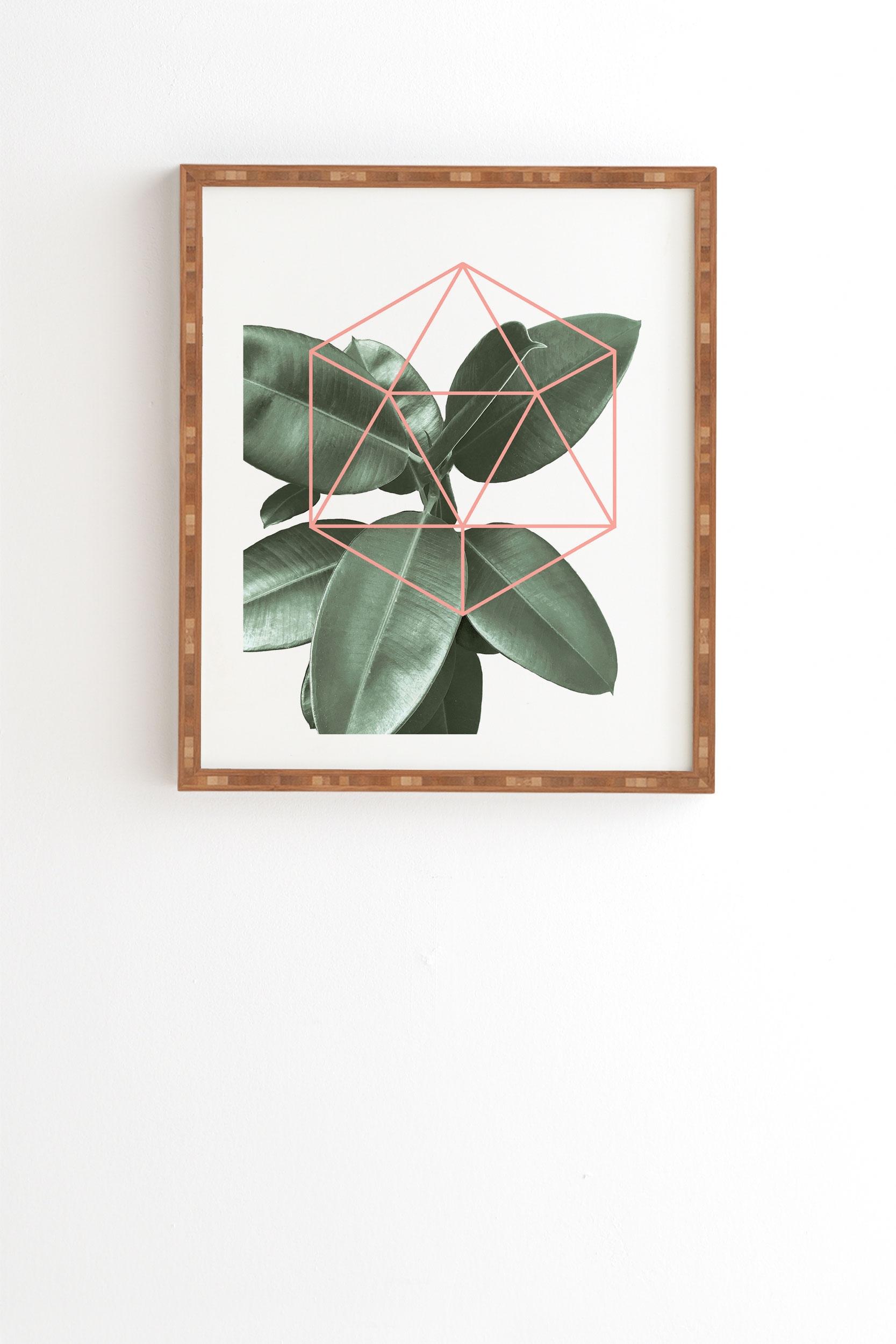 Geometric Greenery by Gale Switzer - Framed Wall Art Bamboo 30" x 30" - Image 0