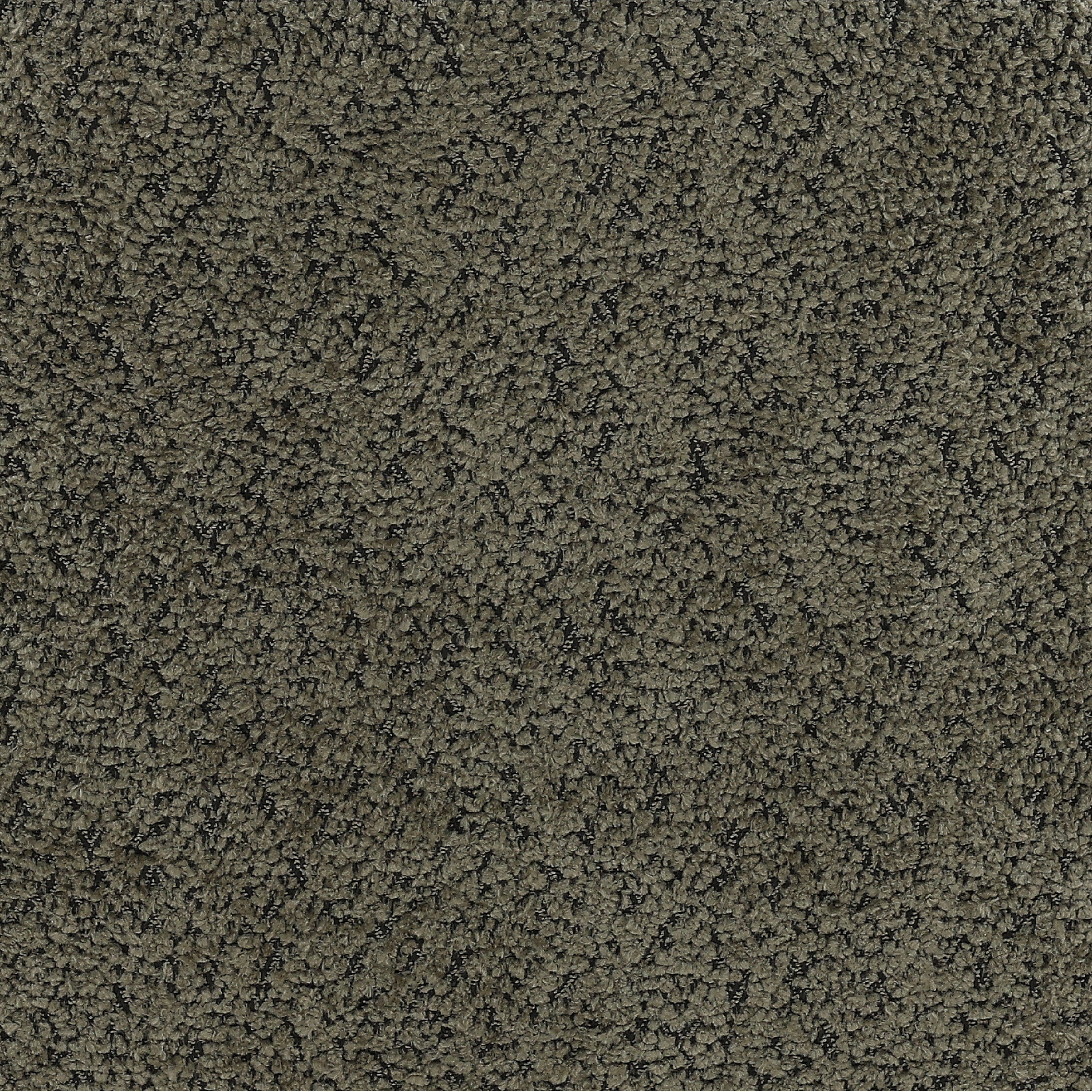 Cathey Dining Chair Set of 2 Olive - Image 1