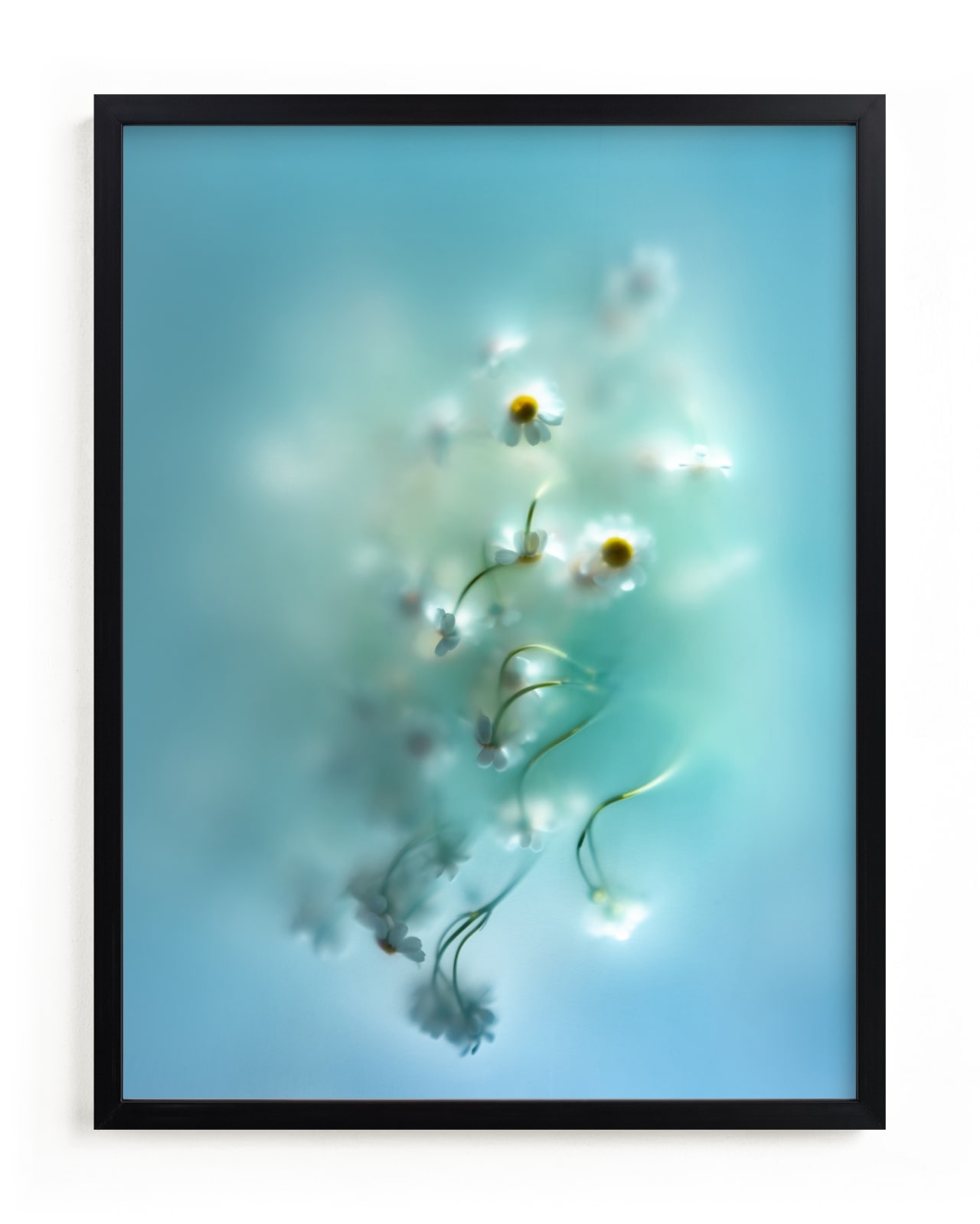 Daisies In Aqua Limited Edition Fine Art Print 2 - Image 0