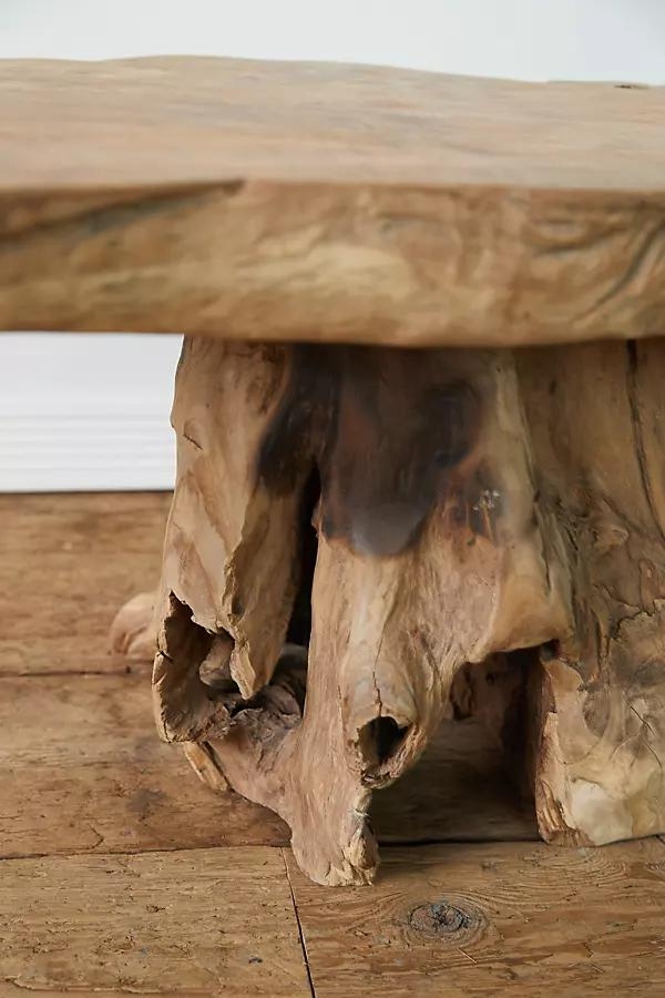 Teak Root Coffee Table - Image 1