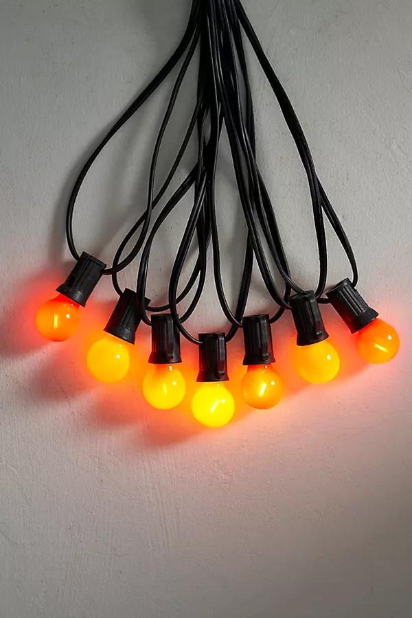 Stargazer Garden Lights, Set of 21 Bulbs, Pumpkin Spice Mini Edition - Image 0