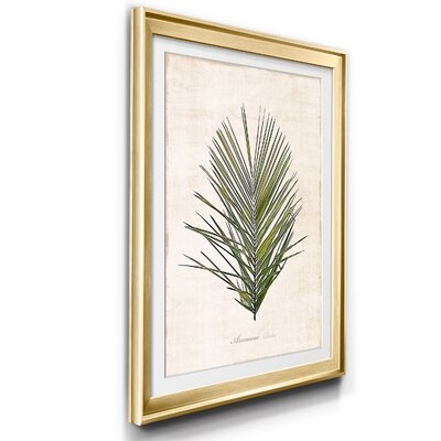 Palm Botanical I - Picture Frame Graphic Art Print on Paper - Image 0