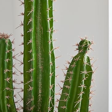 Faux Botanicals, Potted Cactus - Image 1