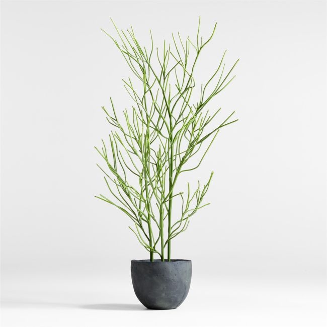 Potted Faux Pencil Cactus 5' - Image 0