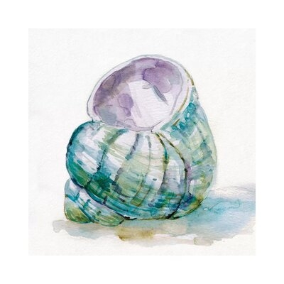 Malecon Shell V by Carol Robinson - Wrapped Canvas Painting Print - Image 0